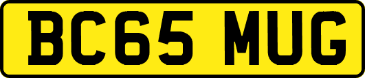BC65MUG
