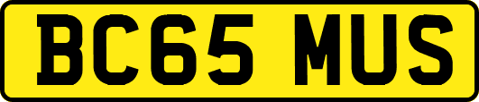 BC65MUS