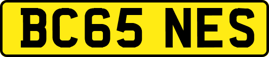 BC65NES