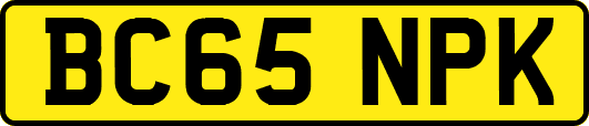 BC65NPK
