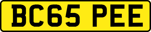 BC65PEE