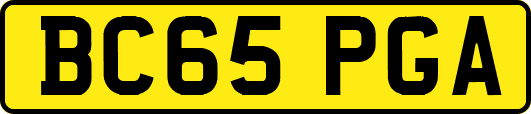 BC65PGA