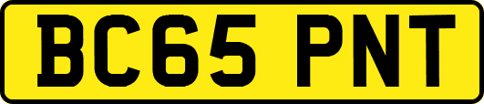 BC65PNT