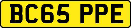 BC65PPE