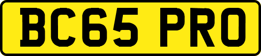 BC65PRO