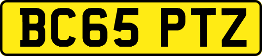 BC65PTZ