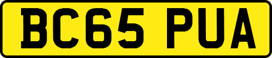 BC65PUA