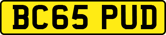 BC65PUD