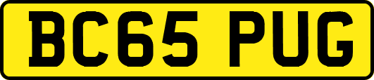 BC65PUG