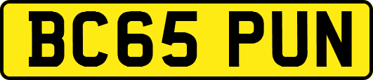 BC65PUN