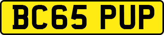 BC65PUP