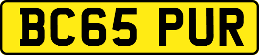 BC65PUR