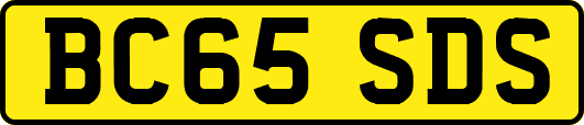 BC65SDS