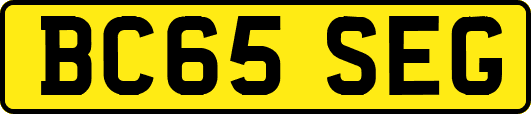 BC65SEG
