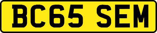 BC65SEM