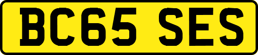 BC65SES