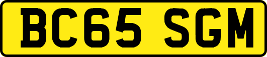 BC65SGM