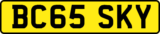BC65SKY