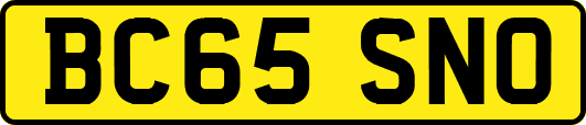 BC65SNO