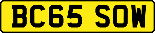 BC65SOW