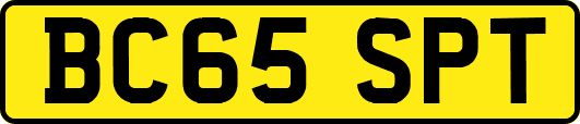 BC65SPT