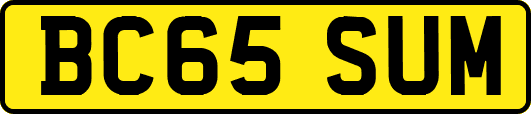 BC65SUM