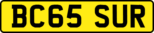 BC65SUR