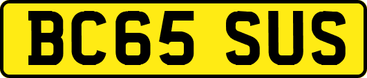 BC65SUS