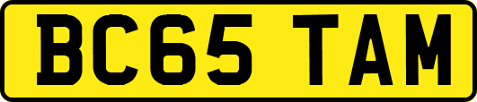 BC65TAM