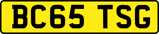 BC65TSG