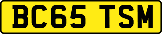BC65TSM