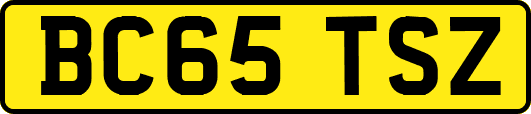 BC65TSZ