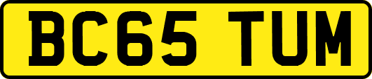 BC65TUM