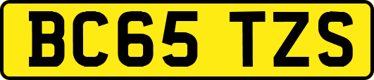 BC65TZS