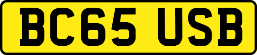 BC65USB