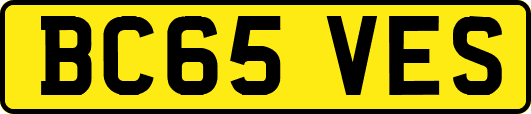 BC65VES