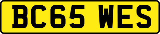BC65WES