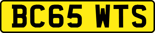 BC65WTS