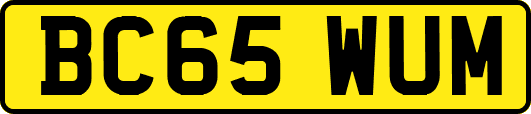 BC65WUM