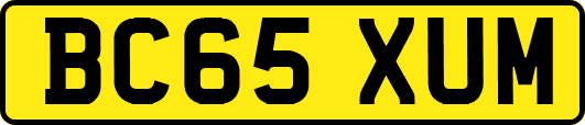 BC65XUM