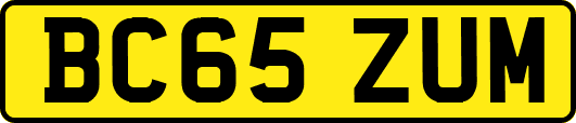 BC65ZUM