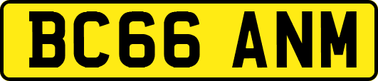 BC66ANM
