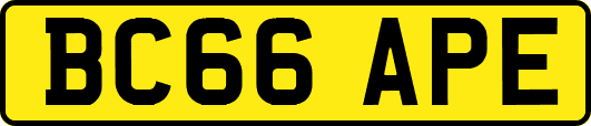 BC66APE