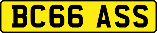 BC66ASS
