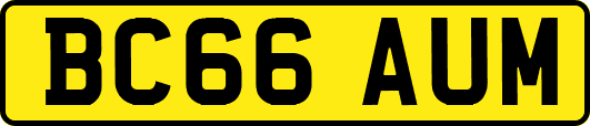 BC66AUM