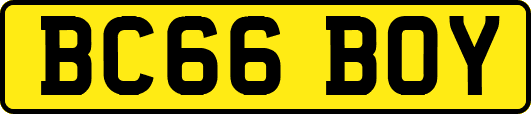 BC66BOY
