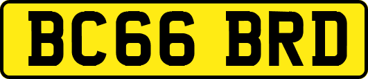 BC66BRD