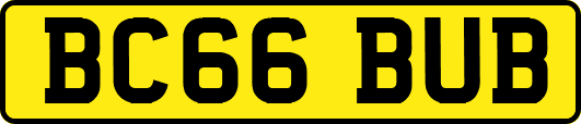 BC66BUB