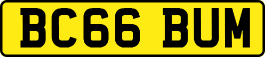 BC66BUM