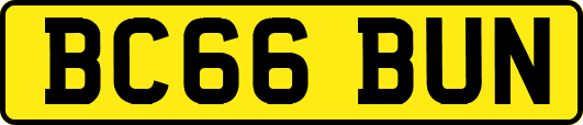 BC66BUN